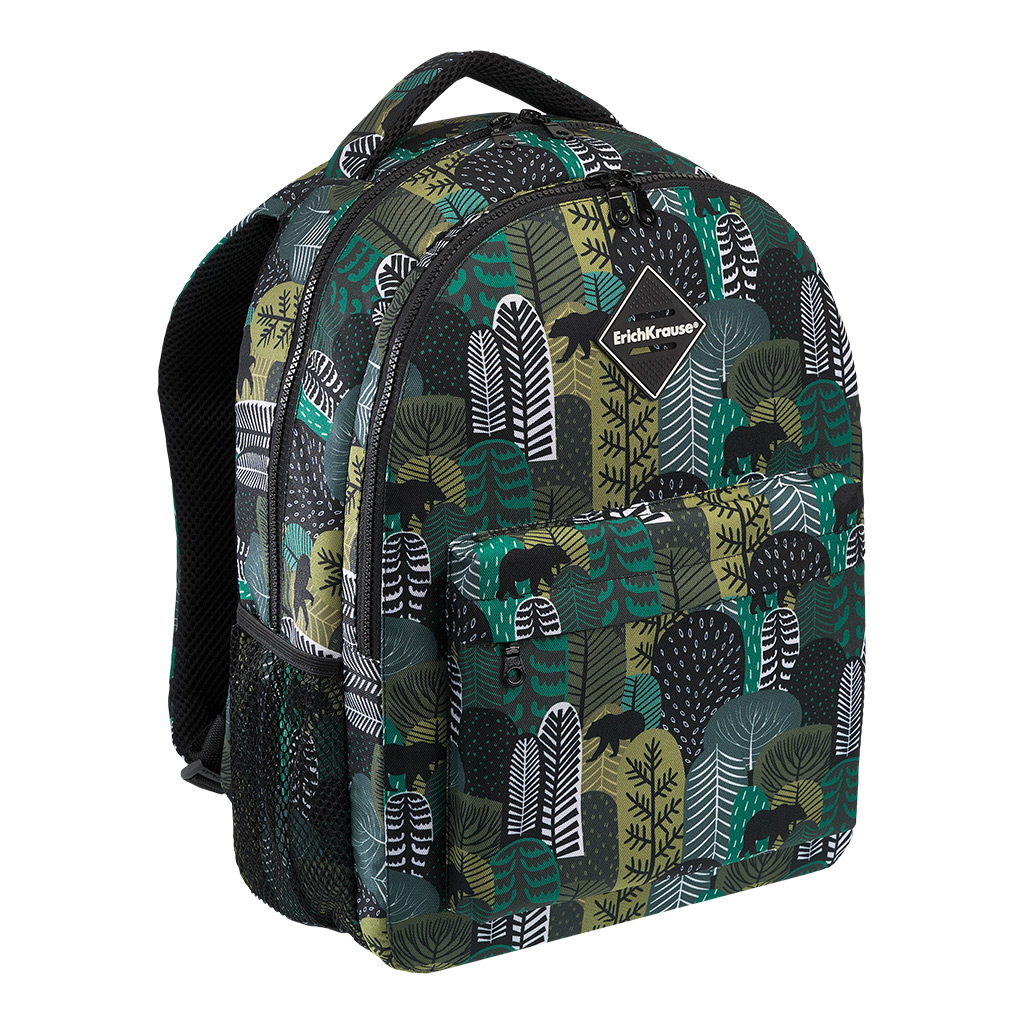 Ученический рюкзак ErichKrause® EasyLine® с двумя отделениями 20L Siberia